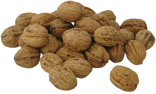 Noix